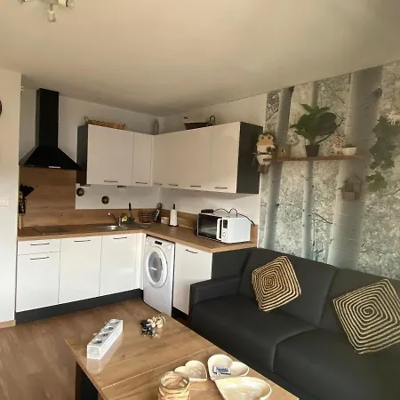 Au Studio D'isa A Dans Les Vosges *