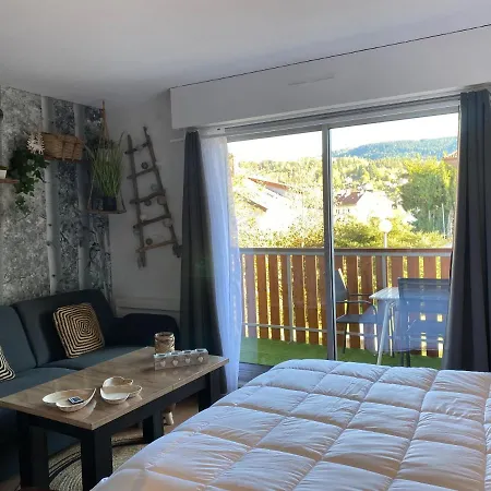Lägenhet Au Studio D'isa A Dans Les Vosges